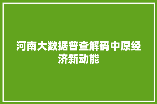 河南大数据普查解码中原经济新动能