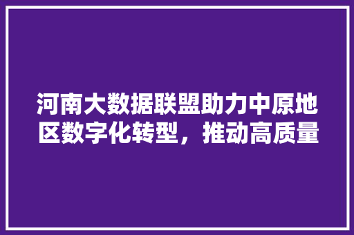 河南大数据联盟助力中原地区数字化转型，推动高质量发展