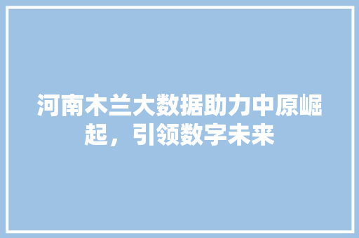 河南木兰大数据助力中原崛起，引领数字未来