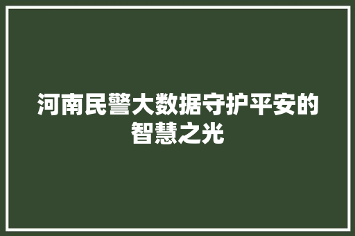 河南民警大数据守护平安的智慧之光