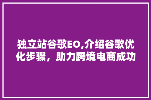 独立站谷歌EO,介绍谷歌优化步骤，助力跨境电商成功之路 项目报告