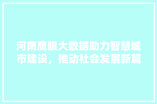 河南鹰眼大数据助力智慧城市建设，推动社会发展新篇章