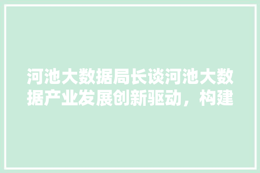 河池大数据局长谈河池大数据产业发展创新驱动，构建智慧新生态