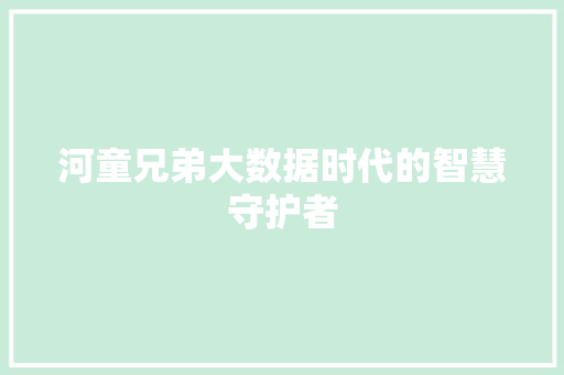 河童兄弟大数据时代的智慧守护者