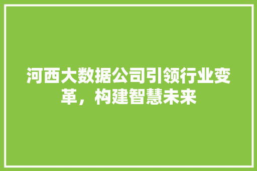 河西大数据公司引领行业变革，构建智慧未来