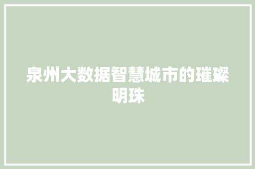 泉州大数据智慧城市的璀璨明珠