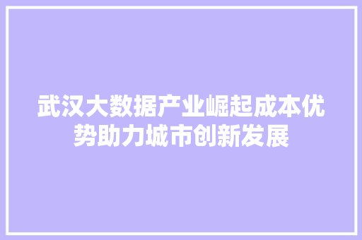 武汉大数据产业崛起成本优势助力城市创新发展
