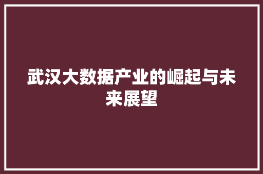 武汉大数据产业的崛起与未来展望