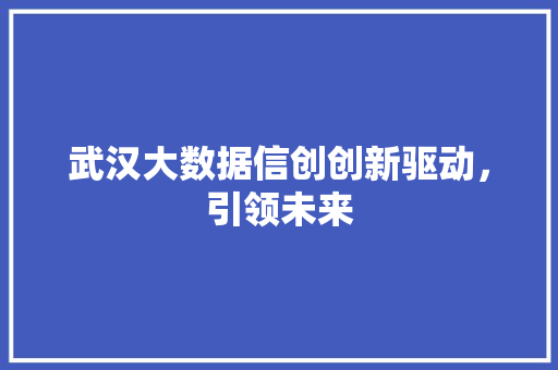 武汉大数据信创创新驱动，引领未来