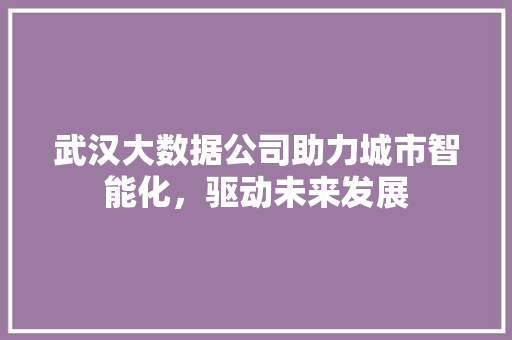 武汉大数据公司助力城市智能化，驱动未来发展