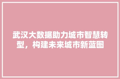 武汉大数据助力城市智慧转型，构建未来城市新蓝图