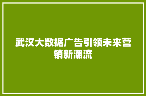 武汉大数据广告引领未来营销新潮流