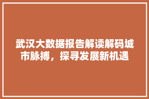 武汉大数据报告解读解码城市脉搏，探寻发展新机遇