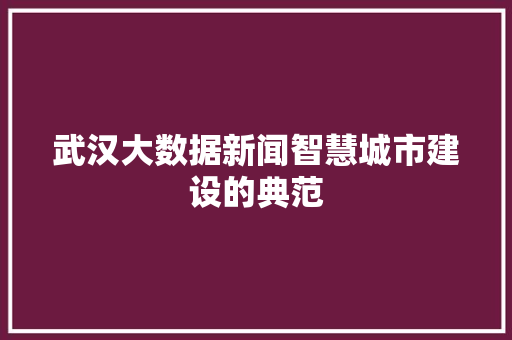 武汉大数据新闻智慧城市建设的典范