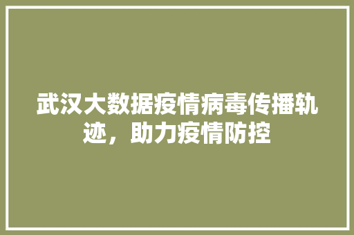 武汉大数据疫情病毒传播轨迹，助力疫情防控