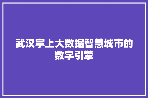 武汉掌上大数据智慧城市的数字引擎