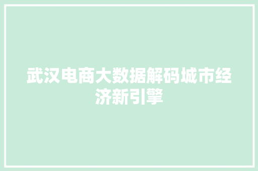 武汉电商大数据解码城市经济新引擎