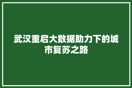 武汉重启大数据助力下的城市复苏之路