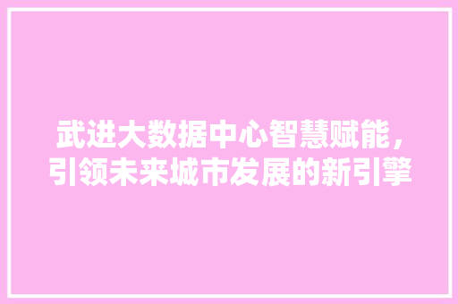 武进大数据中心智慧赋能，引领未来城市发展的新引擎