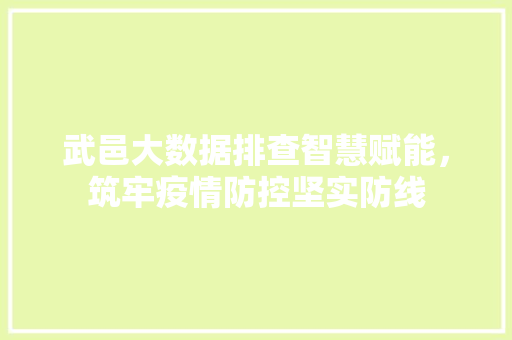 武邑大数据排查智慧赋能，筑牢疫情防控坚实防线