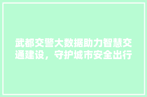 武都交警大数据助力智慧交通建设，守护城市安全出行
