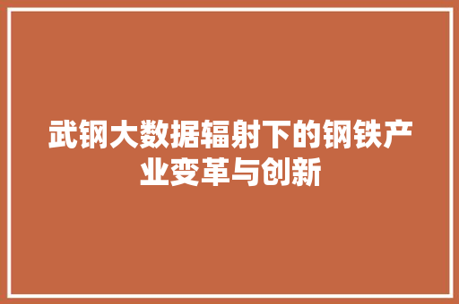 武钢大数据辐射下的钢铁产业变革与创新