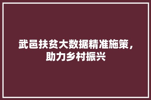 武邑扶贫大数据精准施策，助力乡村振兴