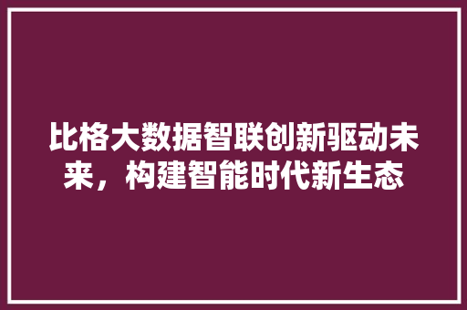 比格大数据智联创新驱动未来，构建智能时代新生态