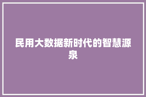 民用大数据新时代的智慧源泉