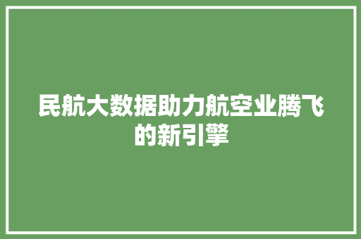 民航大数据助力航空业腾飞的新引擎