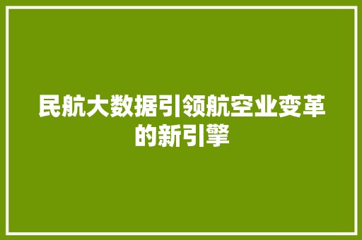 民航大数据引领航空业变革的新引擎