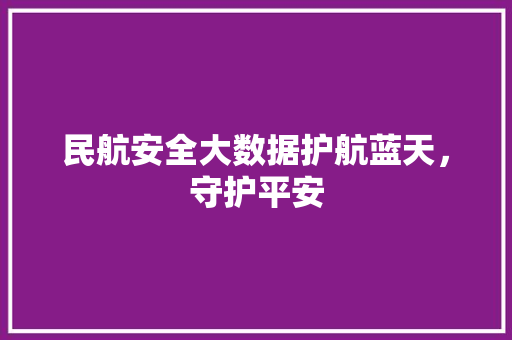 民航安全大数据护航蓝天，守护平安
