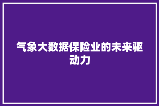 气象大数据保险业的未来驱动力