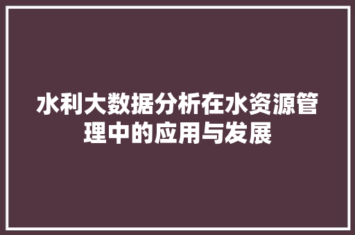 水利大数据分析在水资源管理中的应用与发展
