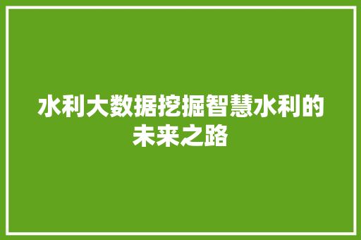 水利大数据挖掘智慧水利的未来之路