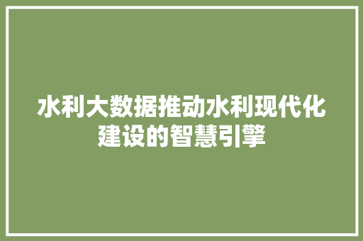水利大数据推动水利现代化建设的智慧引擎