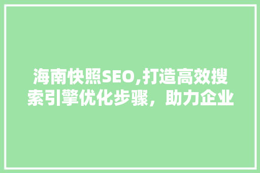 海南快照SEO,打造高效搜索引擎优化步骤，助力企业在线崛起 后端技术