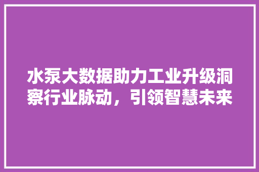 水泵大数据助力工业升级洞察行业脉动，引领智慧未来