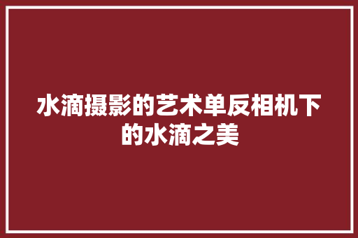 水滴摄影的艺术单反相机下的水滴之美