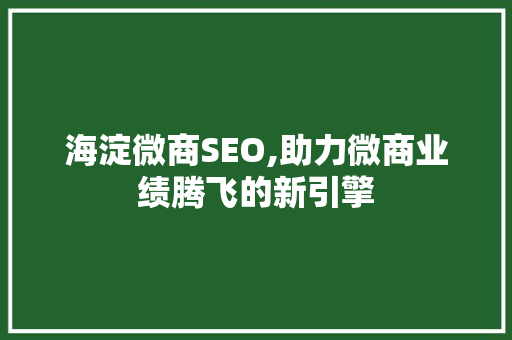海淀微商SEO,助力微商业绩腾飞的新引擎 项目报告