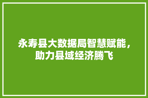 永寿县大数据局智慧赋能，助力县域经济腾飞