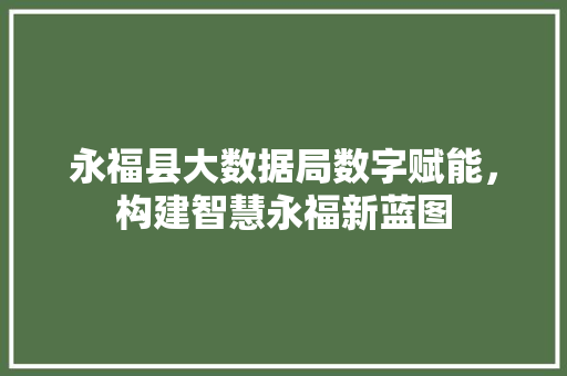 永福县大数据局数字赋能，构建智慧永福新蓝图