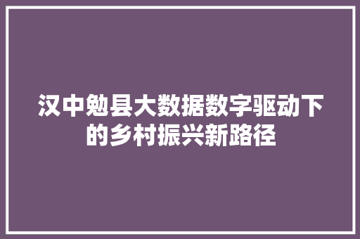 汉中勉县大数据数字驱动下的乡村振兴新路径