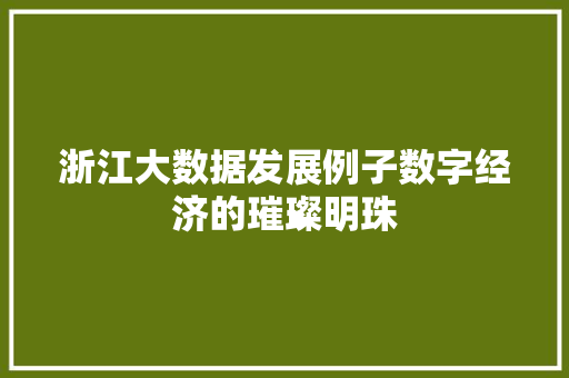 浙江大数据发展例子数字经济的璀璨明珠