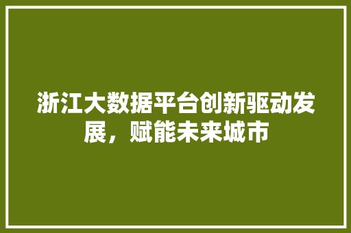 浙江大数据平台创新驱动发展，赋能未来城市