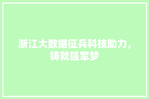 浙江大数据征兵科技助力，铸就强军梦