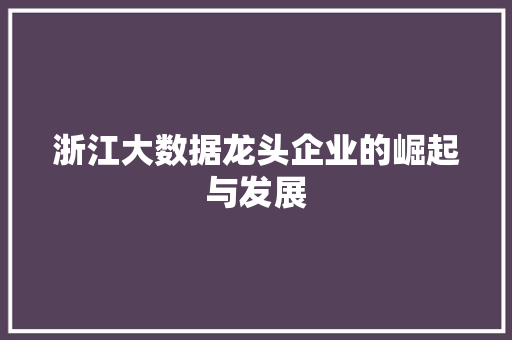 浙江大数据龙头企业的崛起与发展