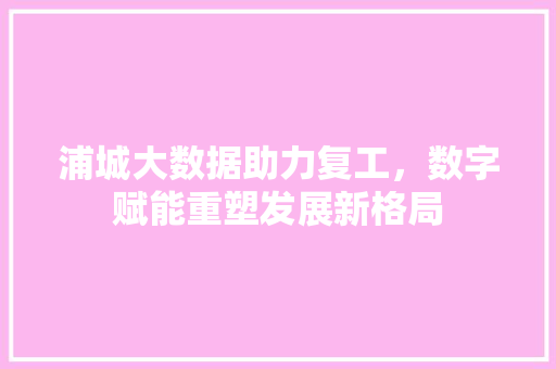 浦城大数据助力复工，数字赋能重塑发展新格局