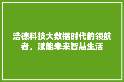 浩德科技大数据时代的领航者，赋能未来智慧生活