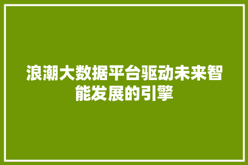 浪潮大数据平台驱动未来智能发展的引擎